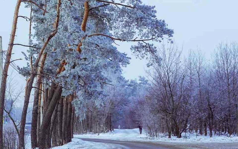 В Гидрометцентре спрогнозировали 29-градусный мороз в Воронежской области