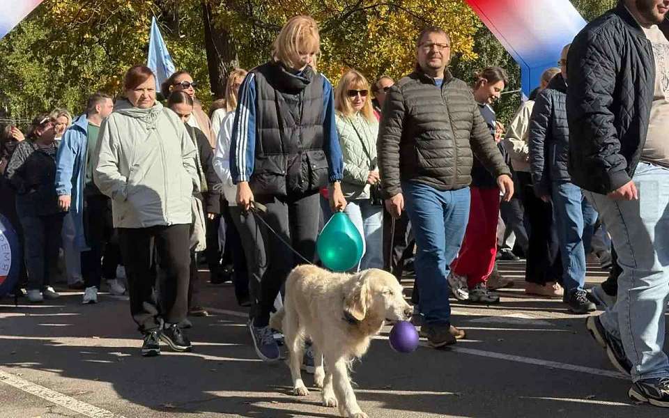 Воронежцы приняли участие во Всероссийском дне ходьбы