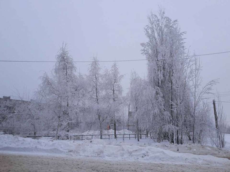 О наступлении 15-градусного мороза предупредили воронежские синоптики