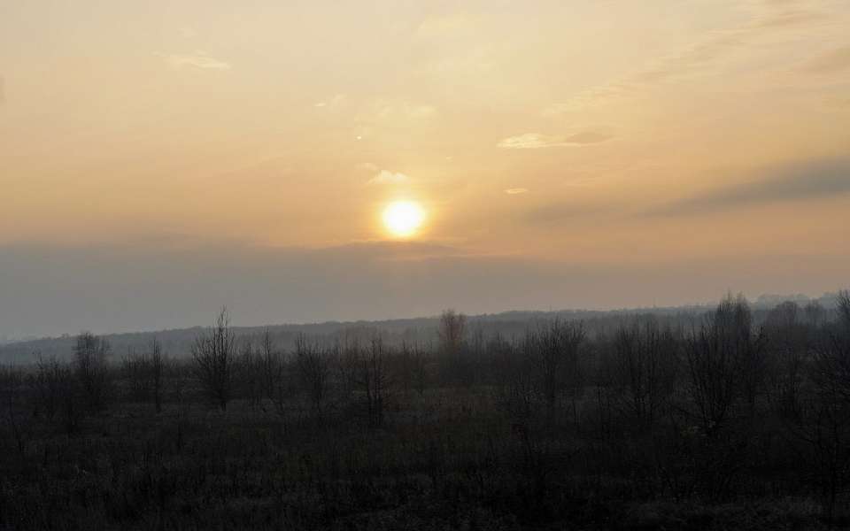 Упадет температура воздуха до +10 градусов в Воронежской области