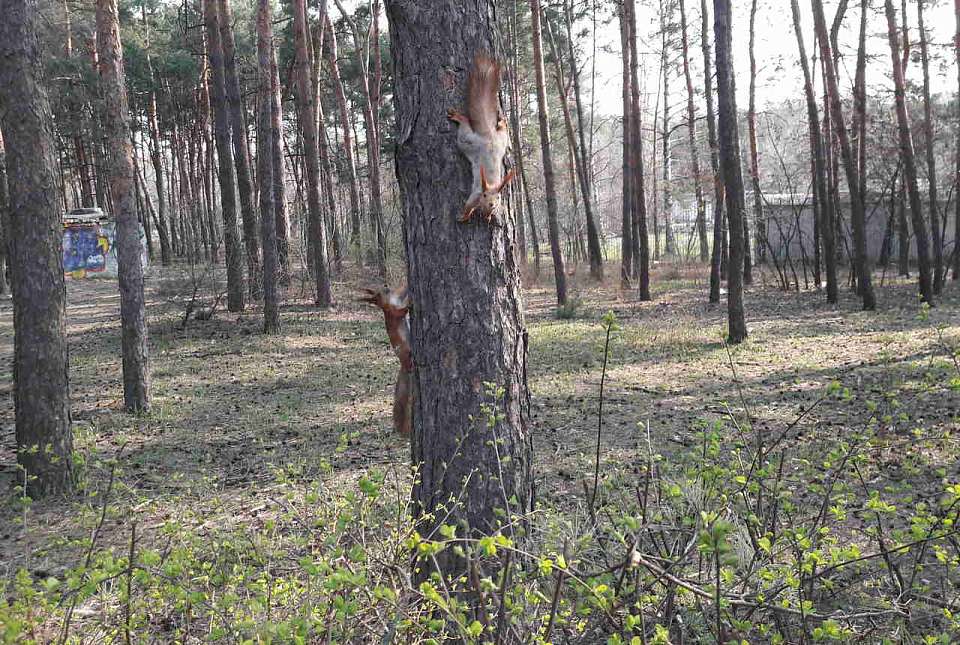 Ещё один температурный рекорд был установлен в Воронеже 23 апреля