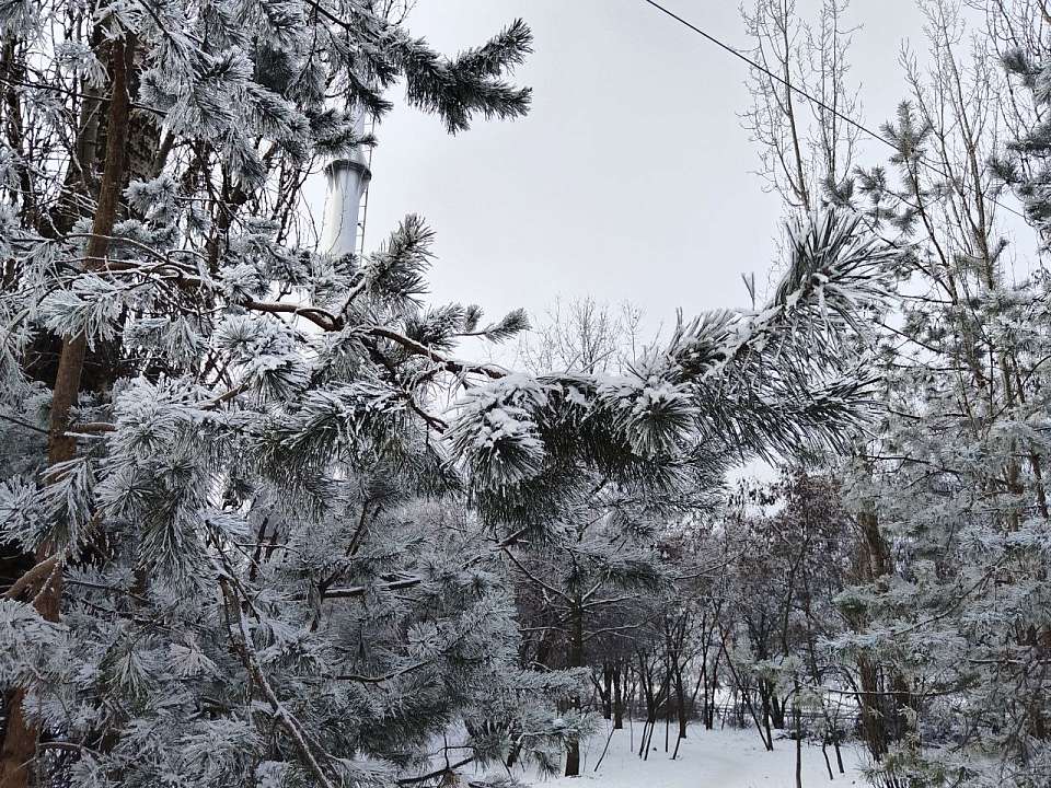 Риск травм для воронежцев усугубил ледяной дождь
