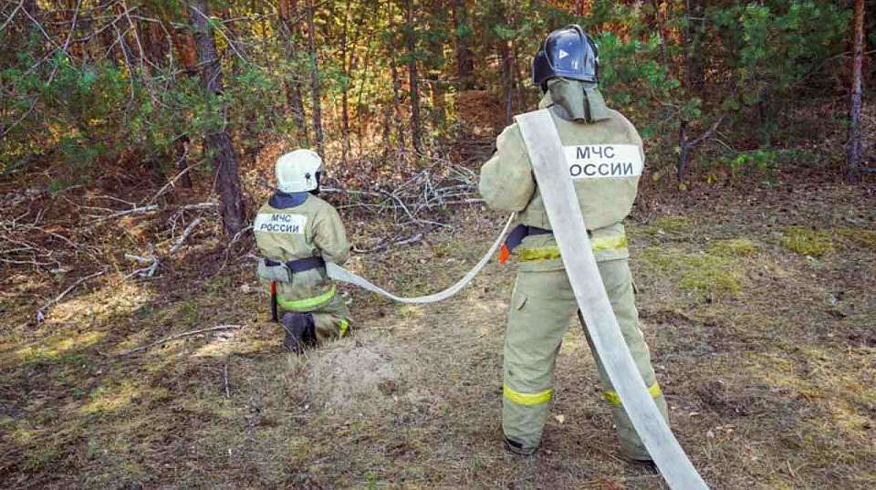 Особый противопожарный режим в Воронежской области отменён