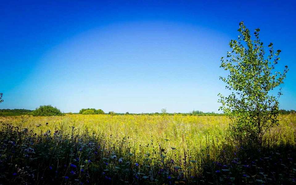 Штормовое предупреждение из-за чрезвычайной пожарной опасности объявили в Воронежской области