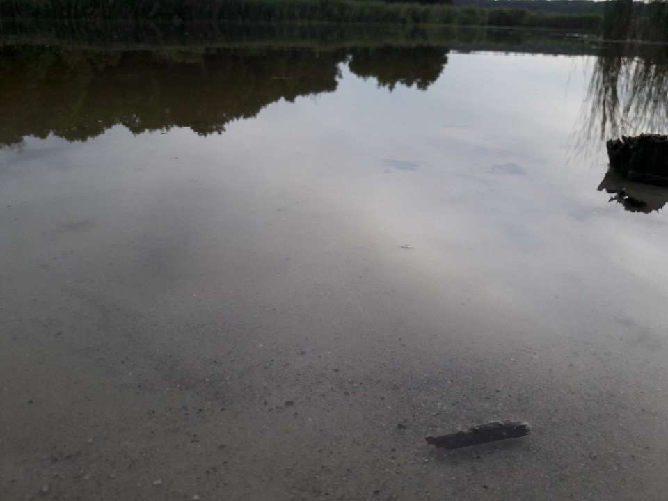 Начался суд по делу об утонувшем в Воронежской области спортсмене