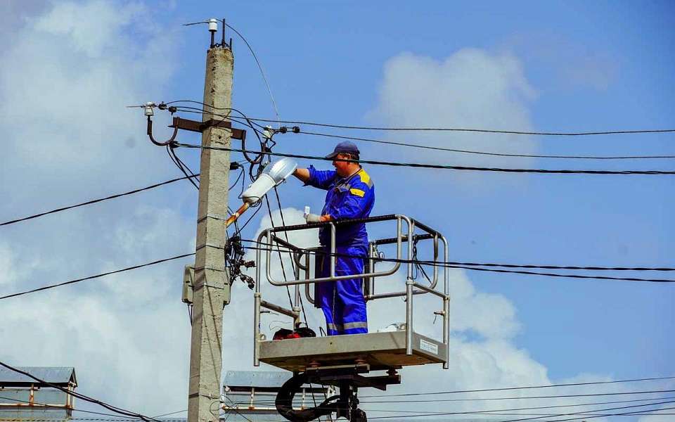 Два приюта для животных обеспечило электроэнергией «Воронежэнерго» 