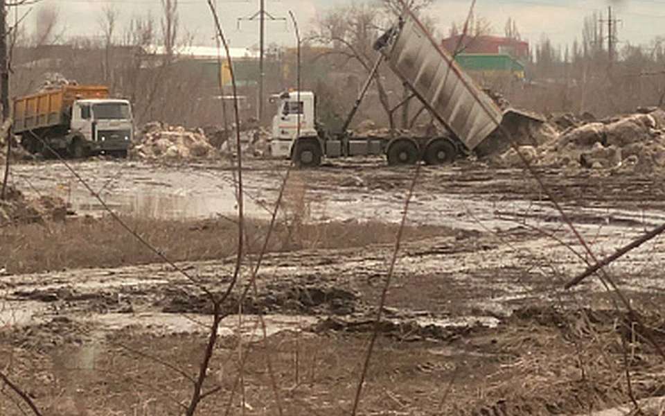 Росприроднадзор проверит ущерб от вывоза снега из парка «Дельфин» на улицу Землячки