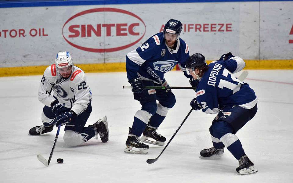Противостояние «Динамо» и воронежского «Бурана» возвращается в Санкт-Петербург