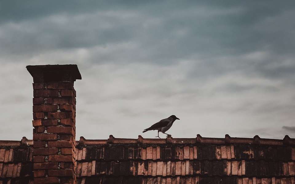 Угарным газом отравились воронежцы из-за забитого дымохода