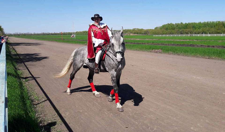 На ремонт Хреновской школы наездников выделено ещё более 104 млн рублей