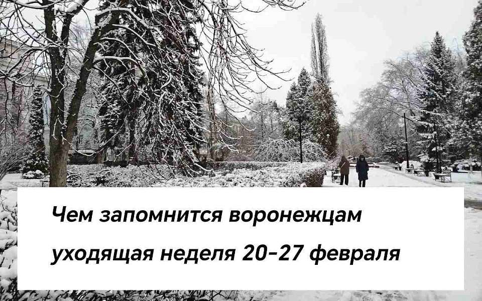 Чем запомнилась в Воронеже неделя с 20 по 27 февраля