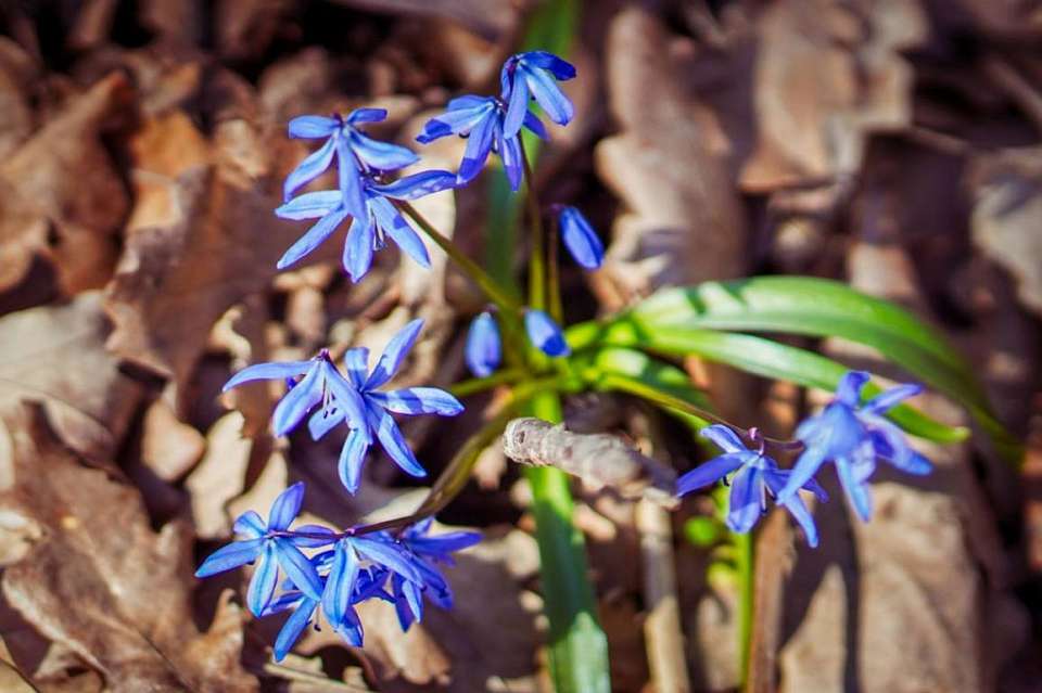 До +19 градусов потеплеет в Воронежской области в конце недели