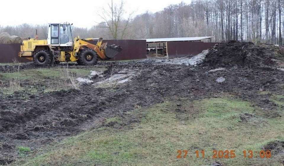 Под Воронежем с жителя требуют 530 тысяч за складирование навоза