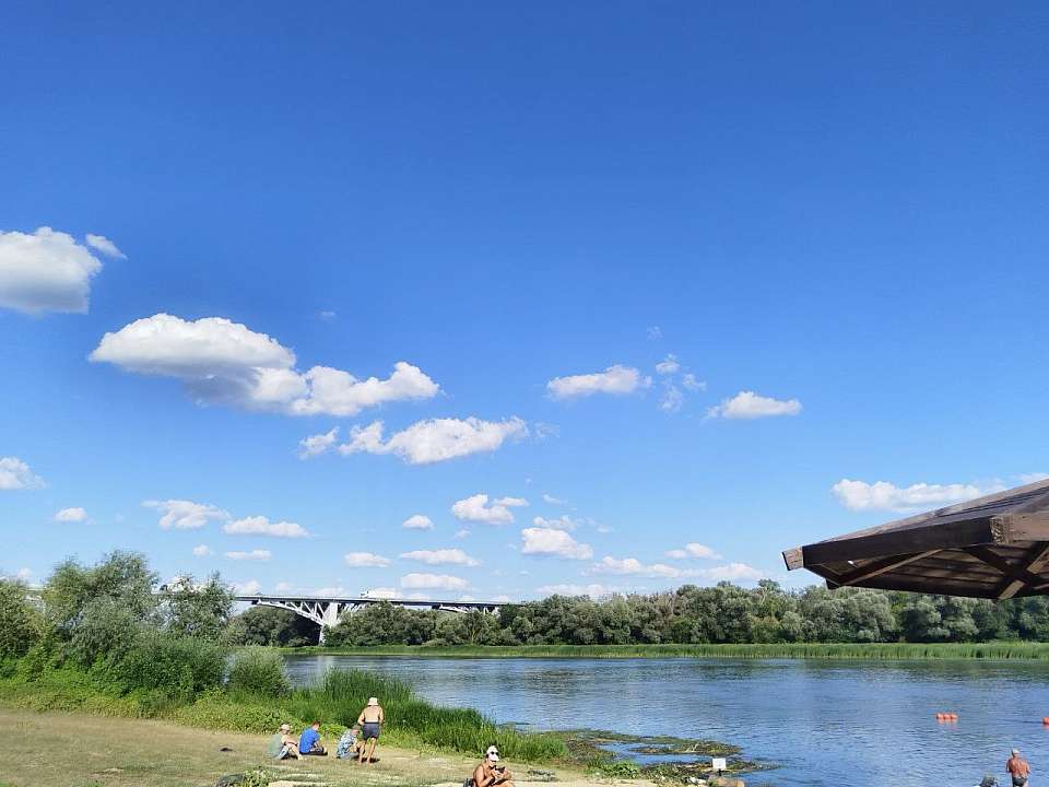 В Воронежской области утонули двое детей