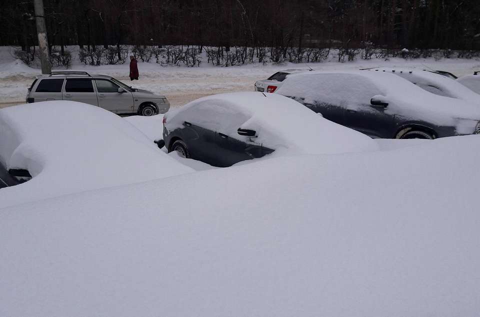 Зима 2025-2026 в Воронежской области показала рекорды по осадкам и холодам