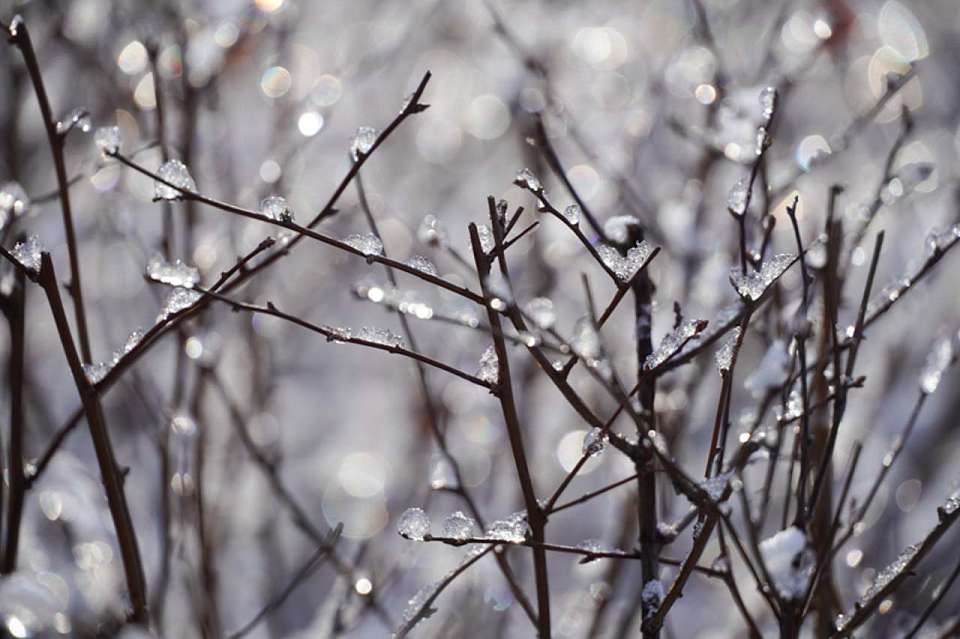 Морозная погода ожидает воронежцев в воскресенье, 14 декабря 