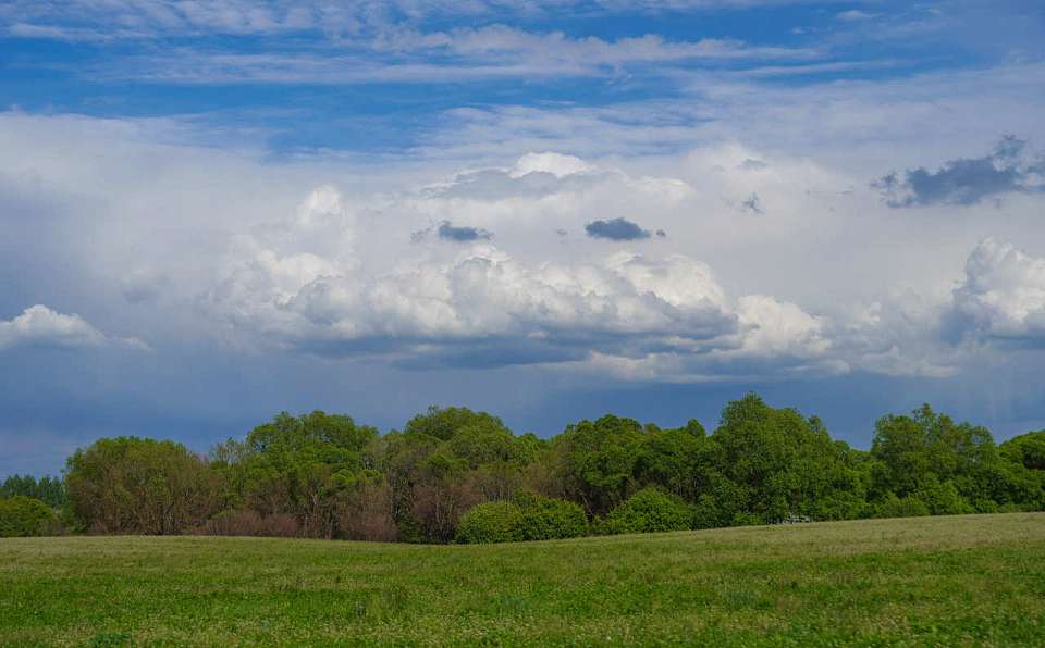 Синоптики предупредили о жаркой погоде с грозами в выходные в Воронежской области