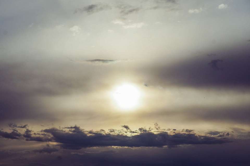 На выходных похолодание до +3 градусов спрогнозировали в Воронежской области