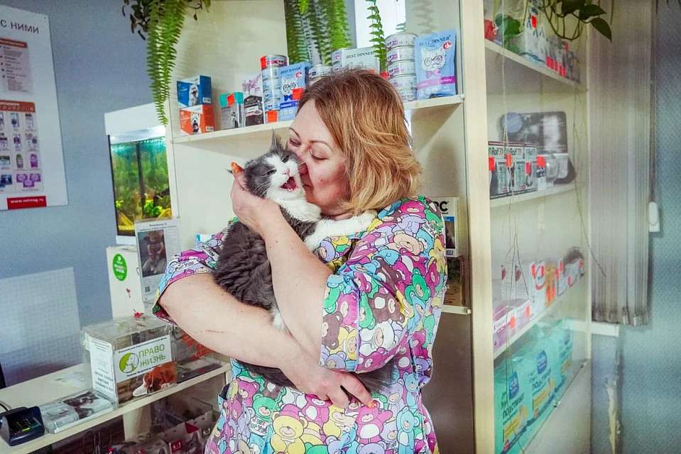 Воронежский ветврач: люди часто путают вирусные заболевания кошек с отравлением