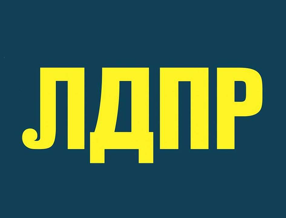 Близкая к «Аксиоме» выпускница журфака ВГУ возглавила воронежское региональное отделение ЛДПР