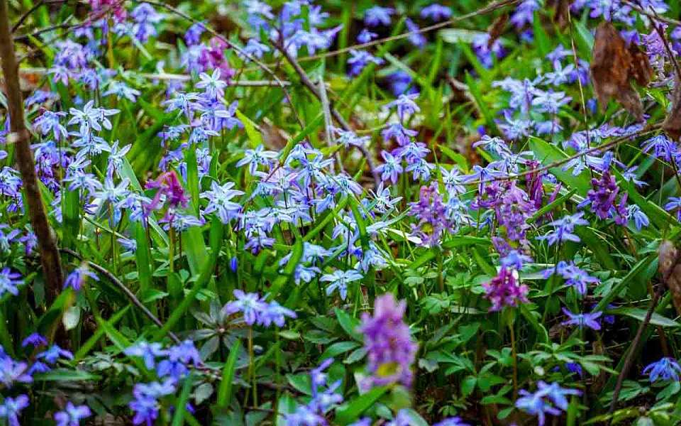 О погоде на вторник, 16 апреля, рассказали воронежские синоптики