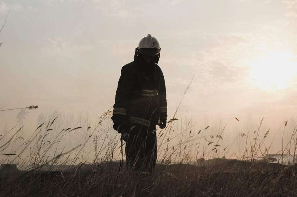 В Воронежском заповеднике ввели пожароопасный период