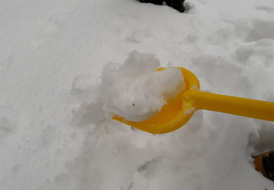 Врач объяснила, почему выпавший в Воронеже снег не стоит пробовать на вкус