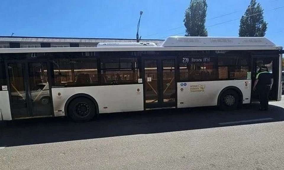Пенсионера сбил пассажирский автобус в Воронеже
