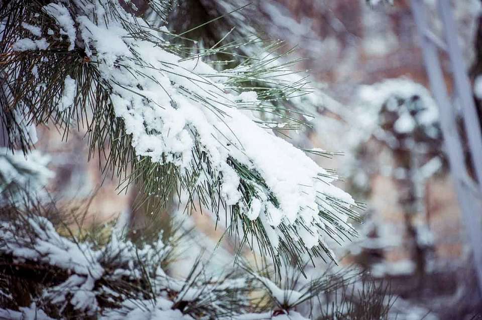 О непростой погоде в феврале рассказали синоптики воронежцам