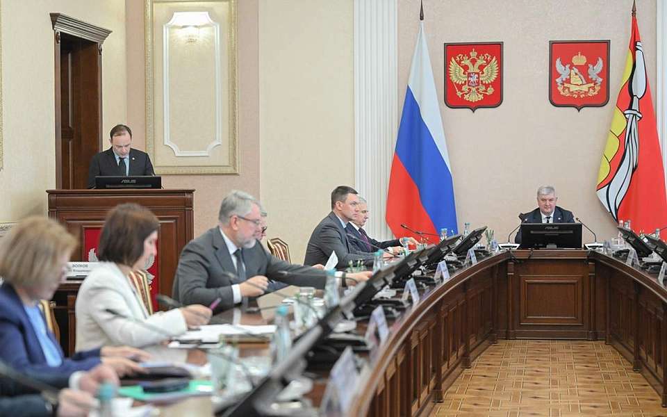 Цифровизация поддержки участников СВО будет ускорена в Воронежской области