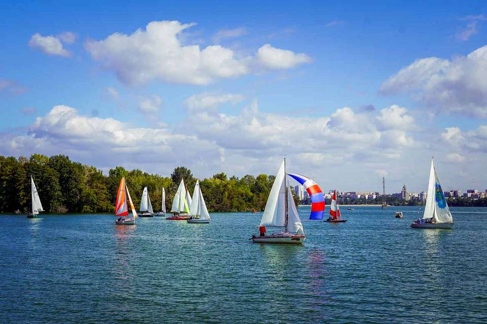 Арт-регата, рок-фестиваль и кормление растений-хищников. Куда воронежцам сходить на выходных 20 и 21 сентября