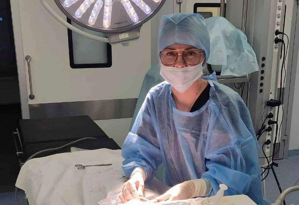 Собака откусила ухо трёхлетнему мальчику в Воронеже