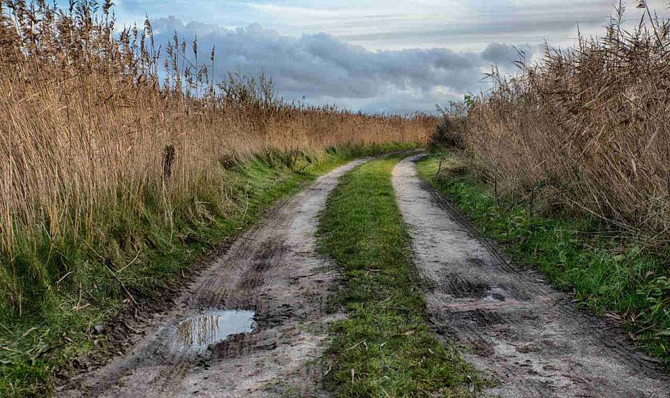 Жители возмущаются ужасным состоянием дороги под Воронежем