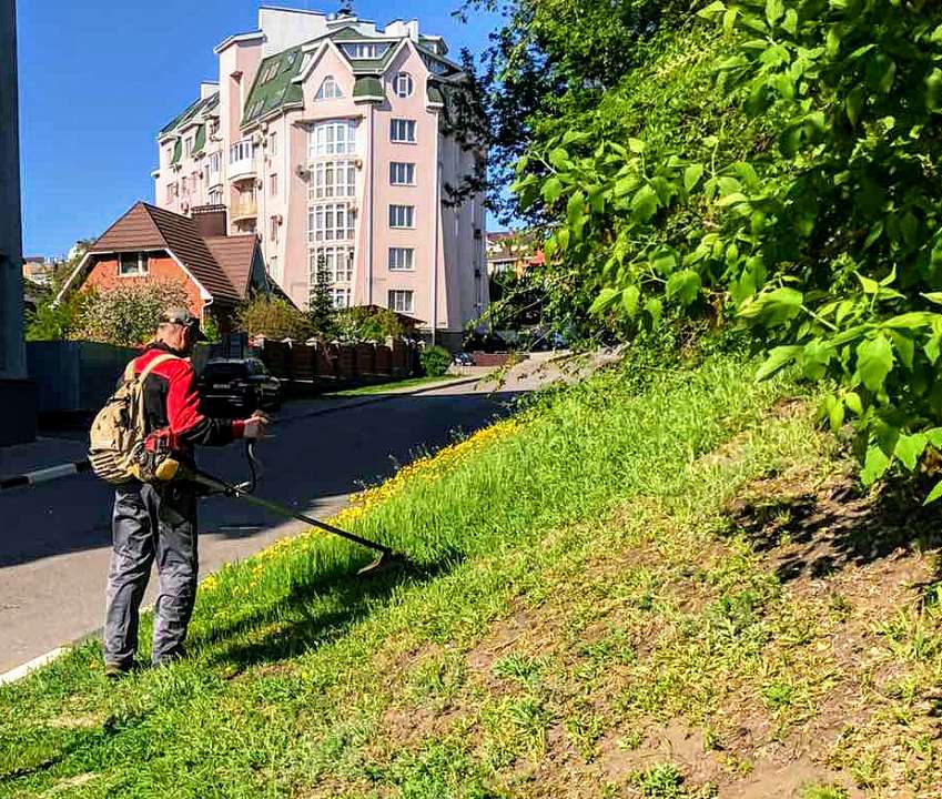 В Центральном районе приступили к первому покосу травы