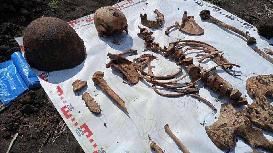 Останки трёх красноармейцев были найдены поисковиками в Воронежской области