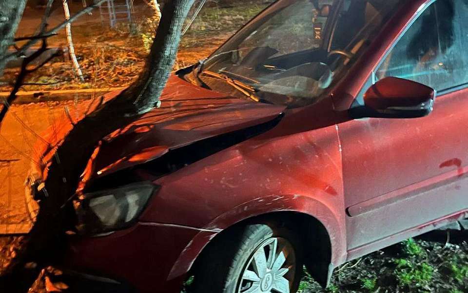 После ДТП с деревом в больницу попал 35-летний автомобилист в Воронеже