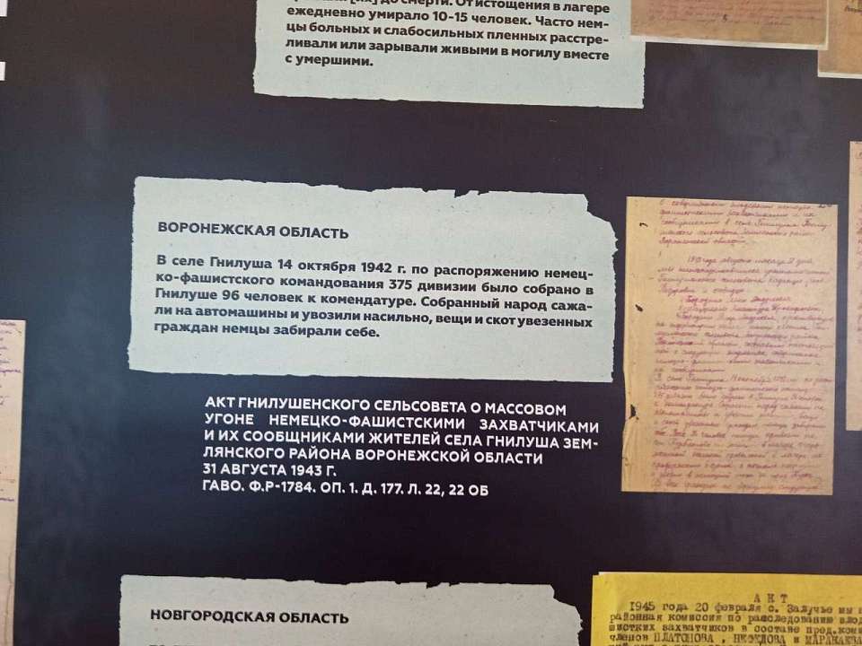 Воронежские материалы о геноциде населения в годы войны представлены в Главном штабе Эрмитажа