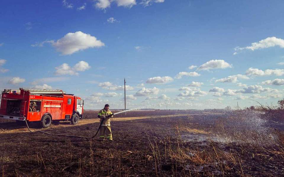 За день 31 ландшафтный пожар потушили в Воронежской области