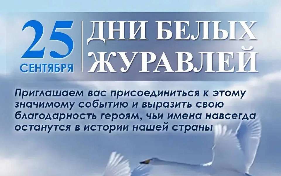 Воронежцев пригласили к участию в акции памяти павших воинов