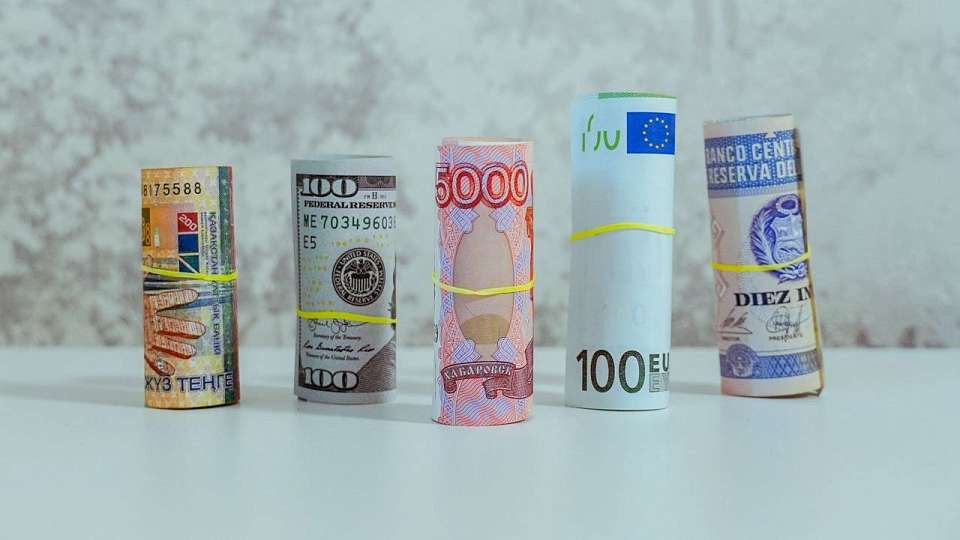 За передачу мошенникам долларов, золотых монет и слитков в Воронеже задержали ростовчанина