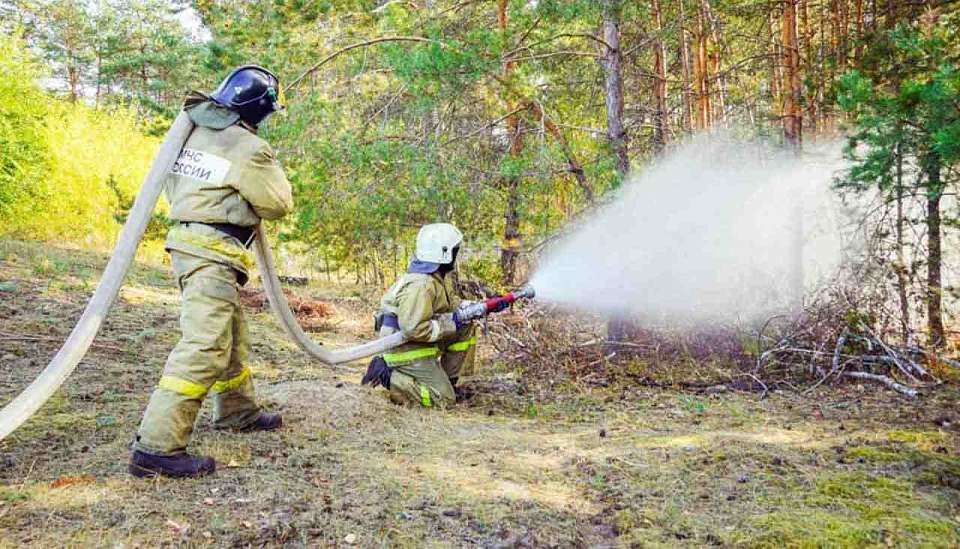 По-прежнему сохраняется 5 класс пожарной опасности в шести районах Воронежской области