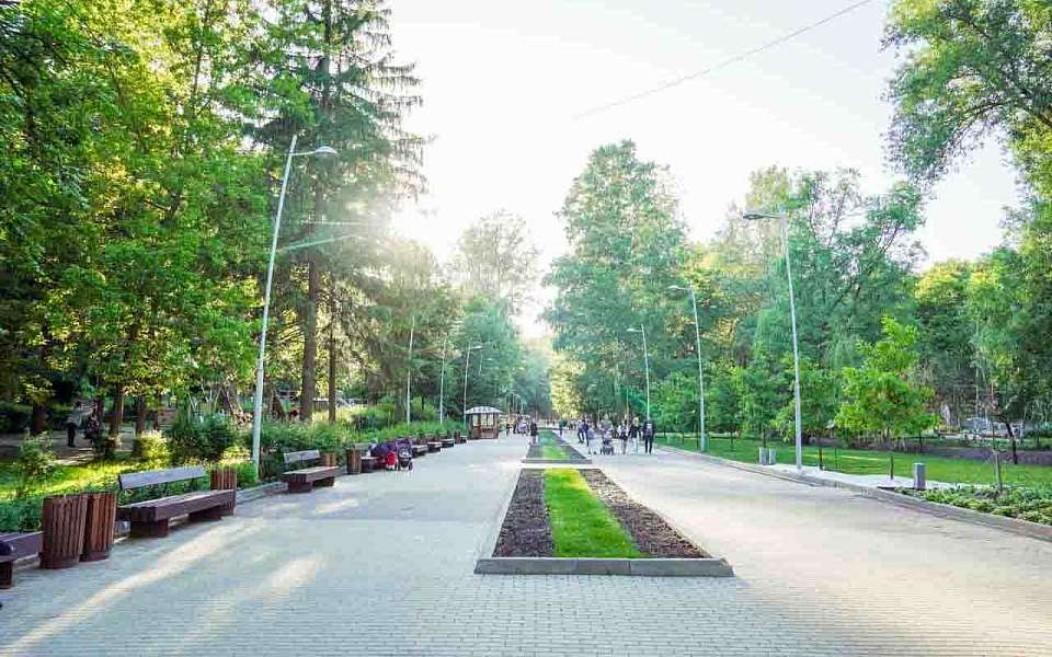 Теплая погода почти без дождей установится в выходные в Воронежской области