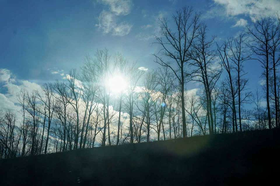 Без снега встретят Новый год жители Воронежа