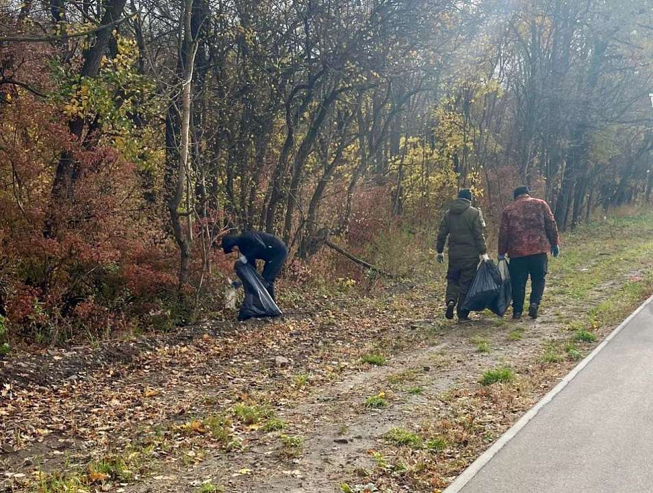 В Центральном районе прошел очередной санитарный день