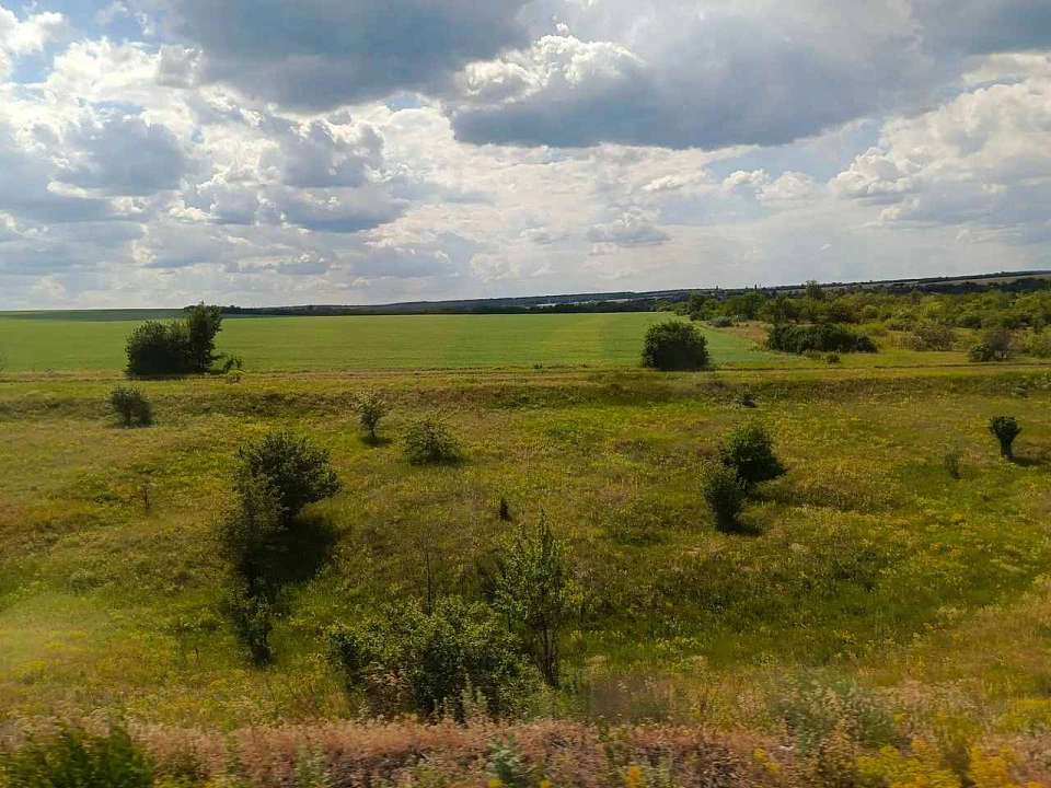 Свыше 930 га земли возвращено из незаконного владения в Воронежской области