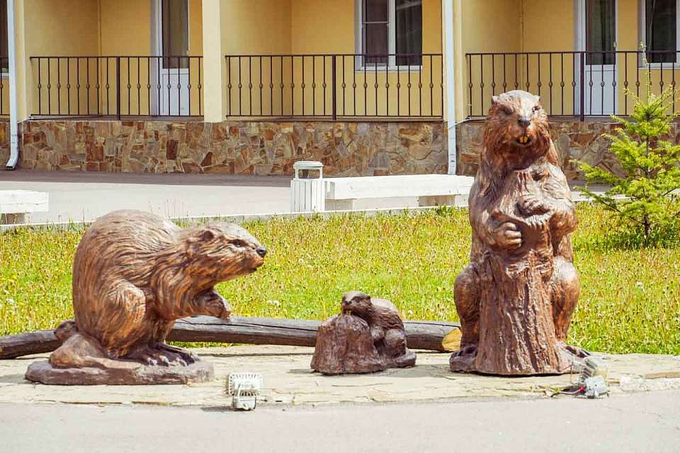 Воронежский заповедник перейдет на зимний режим с 5 ноября