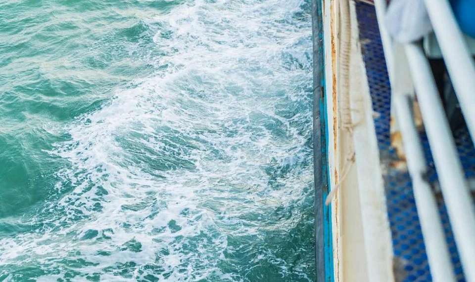 Сроки запуска речных трамваев назвали воронежцам