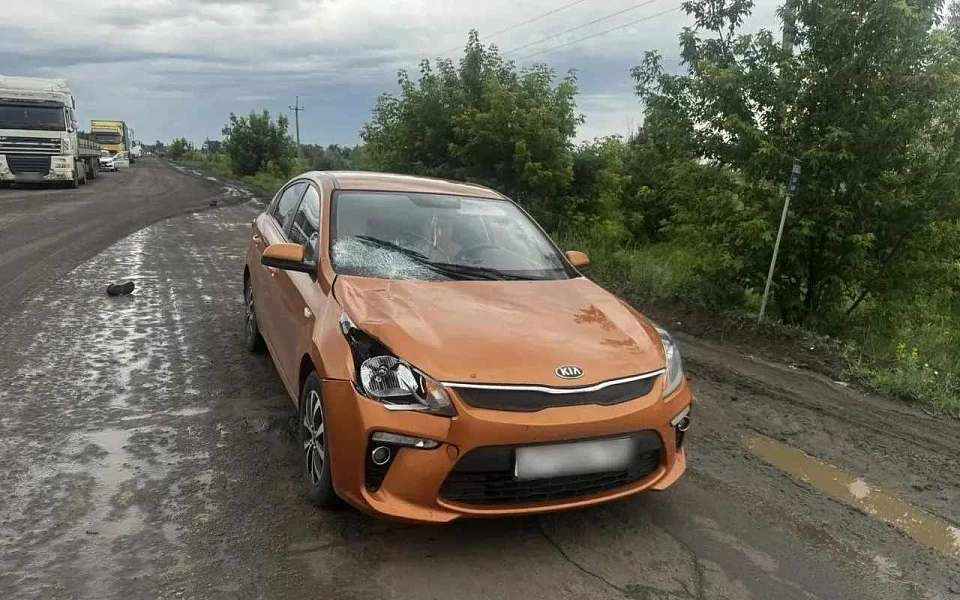 При объезде автоколонны насмерть сбила мужчину автомобилистка в Воронежской области