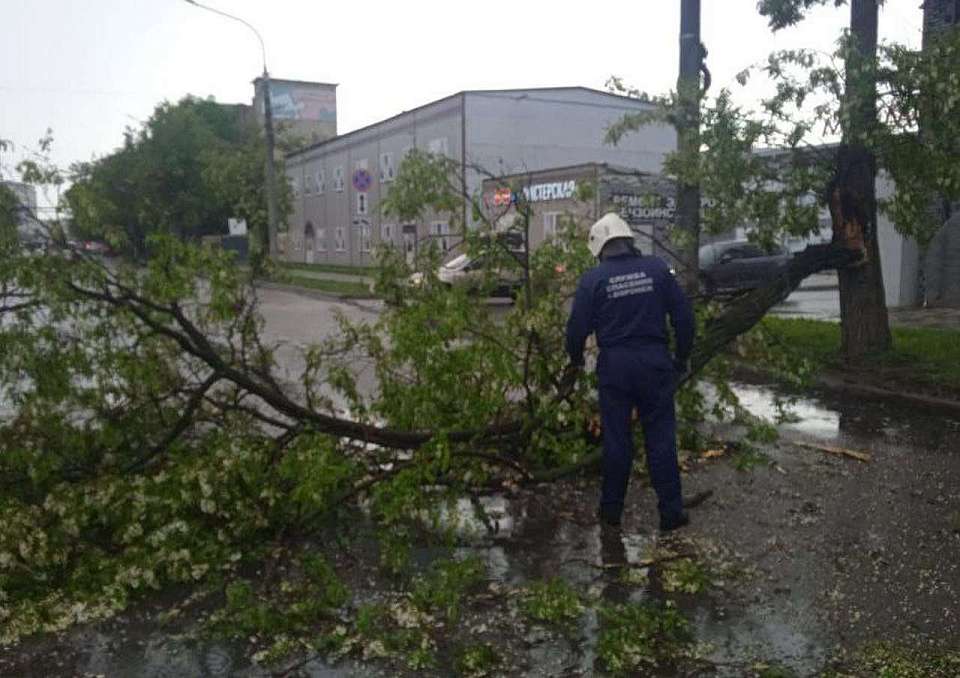 Последствия урагана и ливня ликвидируют в Воронеже