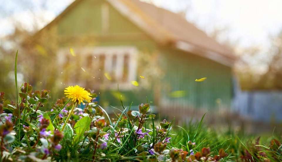 Девять Сувенирных улиц появилось в Воронеже